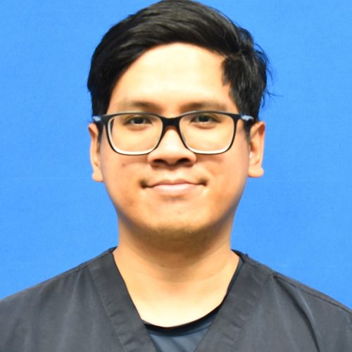 gambar